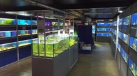 New Fish Delivery Paddock Farm 9/11/2016