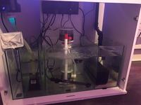 Marine tank setup full equipped with fish etc. £900
