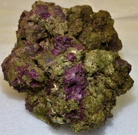 Best live rock on the market- Biorock shop