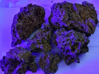 Best live rock on the market- Biorock shop