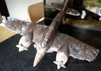 MAY SALE - WEISNICK AQUARIUMS ACCESSORIES BONANAZA - Over 200 pre-owned ORNAMENTS + Bogwood, Air pumps, Plants etc plus loads of other stuff. From £2 upwards. Viewings welcome Manchester M45