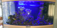 MAY SALE - WEISNICK AQUARIUMS SALE Great chance to get a bargain. Over 60 pre-owned, tanks plus loads of accessories. From £3 upwards. Viewings welcome Manchester M45
