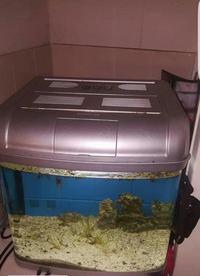 MAY SALE - WEISNICK AQUARIUMS SALE Great chance to get a bargain. Over 60 pre-owned, tanks plus loads of accessories. From £3 upwards. Viewings welcome Manchester M45