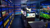 Aquatic Finatic – Stock List & Offers -