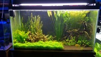 Aquatic Finatic – Stock List & Offers -