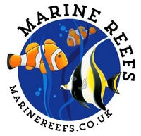 Corals and clean up crew , postage in mainland UK