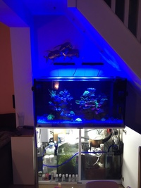 4ft Marine rimless braceless fish tank made by Aquarium Cabinet Solutions £450
