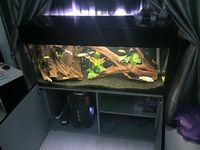 modern 4ft fish tank black gloss £350 for all
