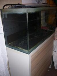 fluval fresh f90 fish tank and cabinet