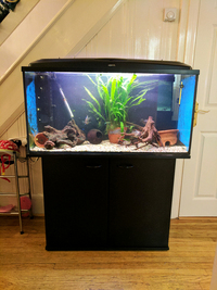 Tropical Aquael Fish Tank 3ft (200L)