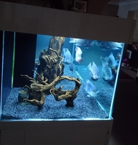 6x3x2 Tropical Aquarium £1000