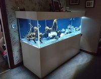 6x3x2 Tropical Aquarium £1000