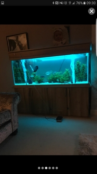 Custom built fish tank 500l