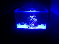 Fluval m60 tank only no stand or equipment £50.00