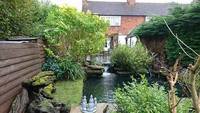 surrey fishi rescue and pond maintenance-07764457896