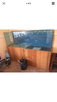 Aquarium and cabinet