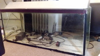 3 foot tank with filter hood etc
