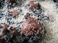 Live Springtail Culture - FREE P&P