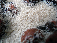 Live Springtail Culture - FREE P&P