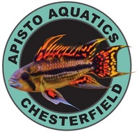 Apisto Aquatics - Now with mobile app