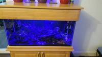 Complete Tropical Aquarium Fish Tank