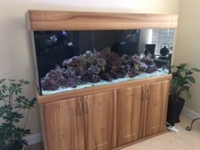 Custom 5ft marine tank