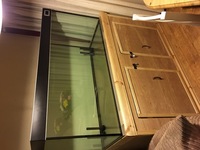 Fluval Profile 1500, 4ft Sump & Stand