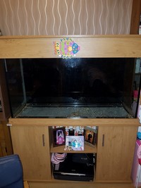4ft x 2ft x 1ft and half fish tank and cabinet