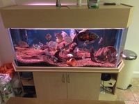 Full 5ft set up and 2x fx6 filters