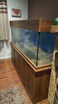 6x2x2 optiwhite tank, sump and cabinet