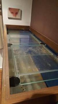 6x2x2 optiwhite tank, sump and cabinet