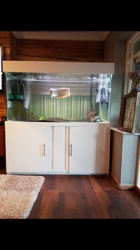 5ft by 2.5ft by 2.5ft high gloss white aquarium SOLD