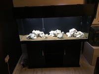 5ft fish tank cabinet hood and light