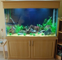 Display tank & equipment for sale