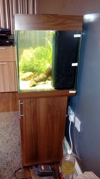 juwel rio 180 full setup