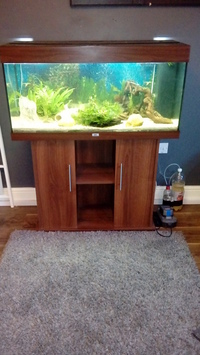 juwel rio 180 full setup