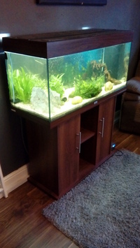 juwel rio 180 full setup