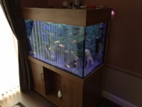 ND Aquatics aquarium for sale