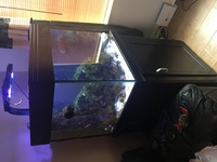 Aqua reef 275 and cabinet for sale