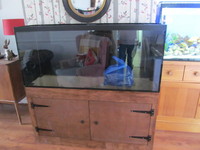 FISH TANK AND STAND 4.5 FT