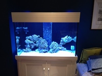 AquaReef 300 Marine/Reef/Tropical/Freshwater tank - £300