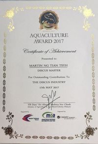 :: AWARD WINNING MARTIN NG MASTER DISCUS BREEDER. DURHAM DISCUS - THE No1 DISCUS SPECIALISTS IN NORTH EAST ENGLAND :