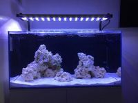 Aqua One Mini Reef 180 For Sale