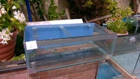 Fish Tanks from my fish room for sale