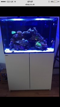 Red Sea max E260, white cabinet with reefloat AWC 31