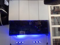 Full marine set up