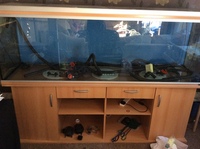 Rena 6 6 2m 700litre fish tank in beech inc filters heaters and equipment