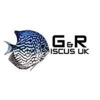 2-2.5 Discus G&R Discus UK