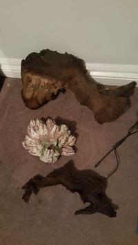 Aquarium and more - Seashell Pheonix 180 litre - Bargain