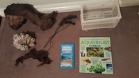 Aquarium and more - Seashell Pheonix 180 litre - Bargain